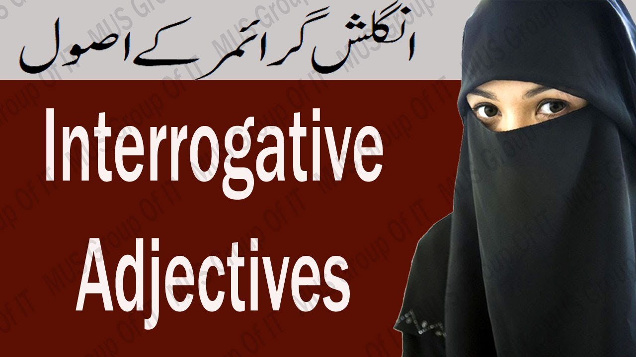 Interrogative Adjective Kya Hota Hai - Learn In Hindi Class 46