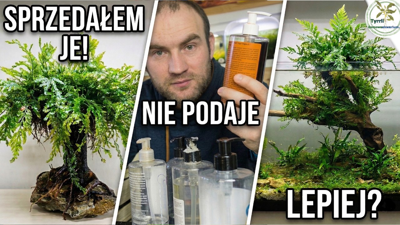 Sprzedałem MOJE DRZEWKO i zmieniam akwarium! (Przemiana 70l)