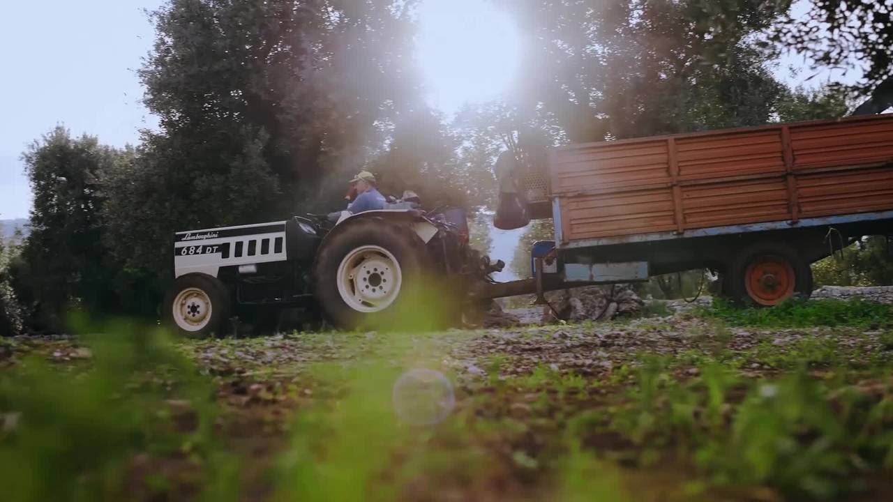 Alfa Laval Olive Oil Booster  - una nuova era per la redditività dell'impianto oleario