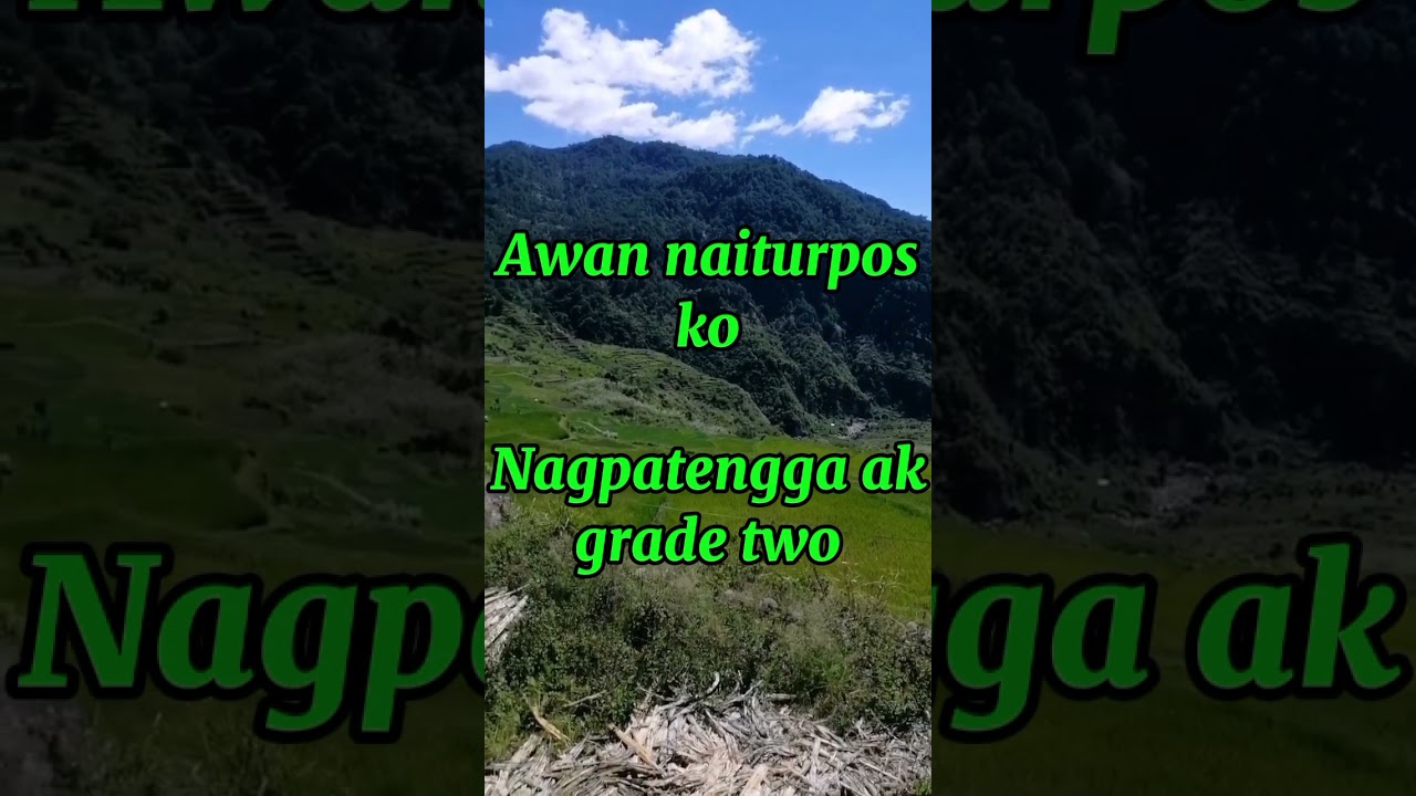 @kansyon nga insuron ni Apong ko