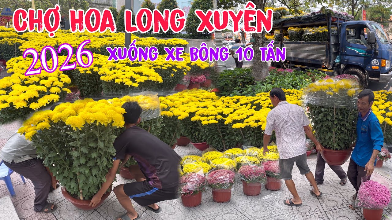 Chợ Hoa Tết Long Xuyên 2026 . Xuống Xe Bông 10 Tấn Toàn Chậu Khủng 