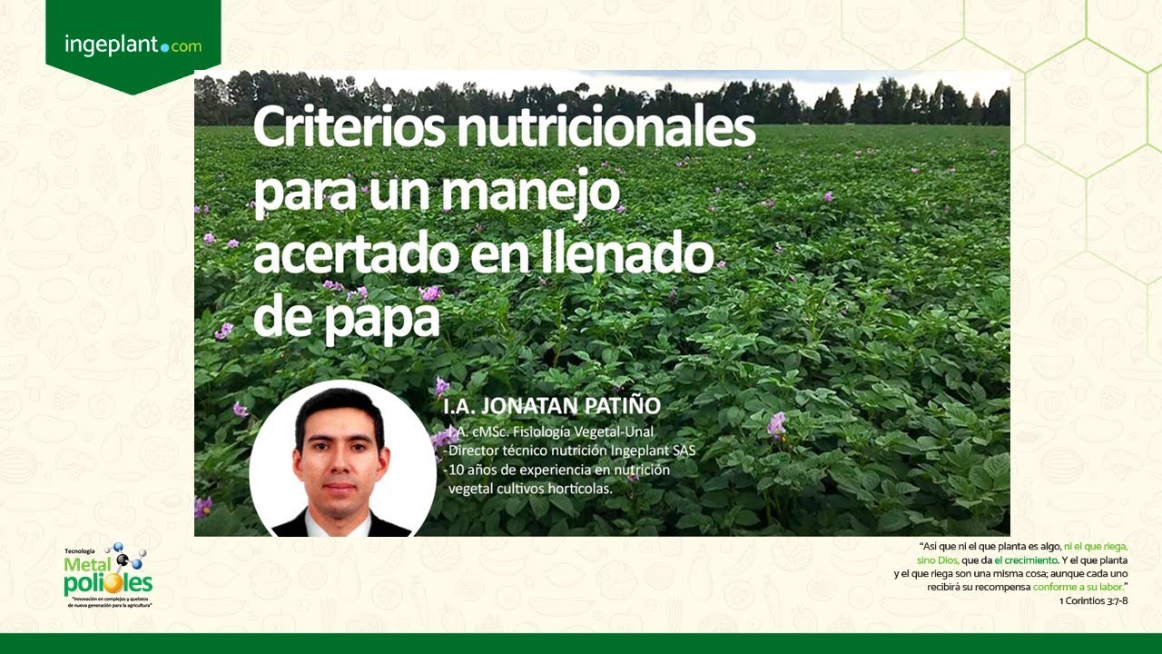 Criterios nutricionales para llenado en papa. IA Jonatan Patiño