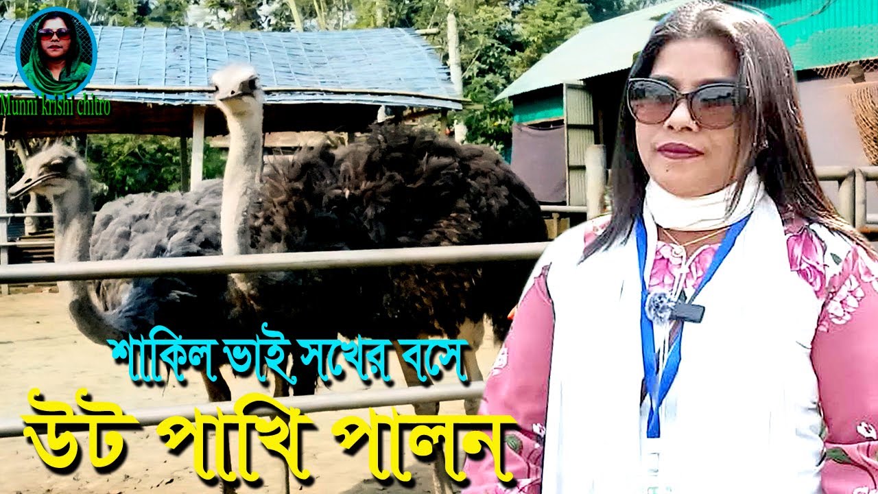 সাকিল ভাইউটপাখি পালন / Sakila bhai uṭapakhi palana @Munnikr̥ṣicitra