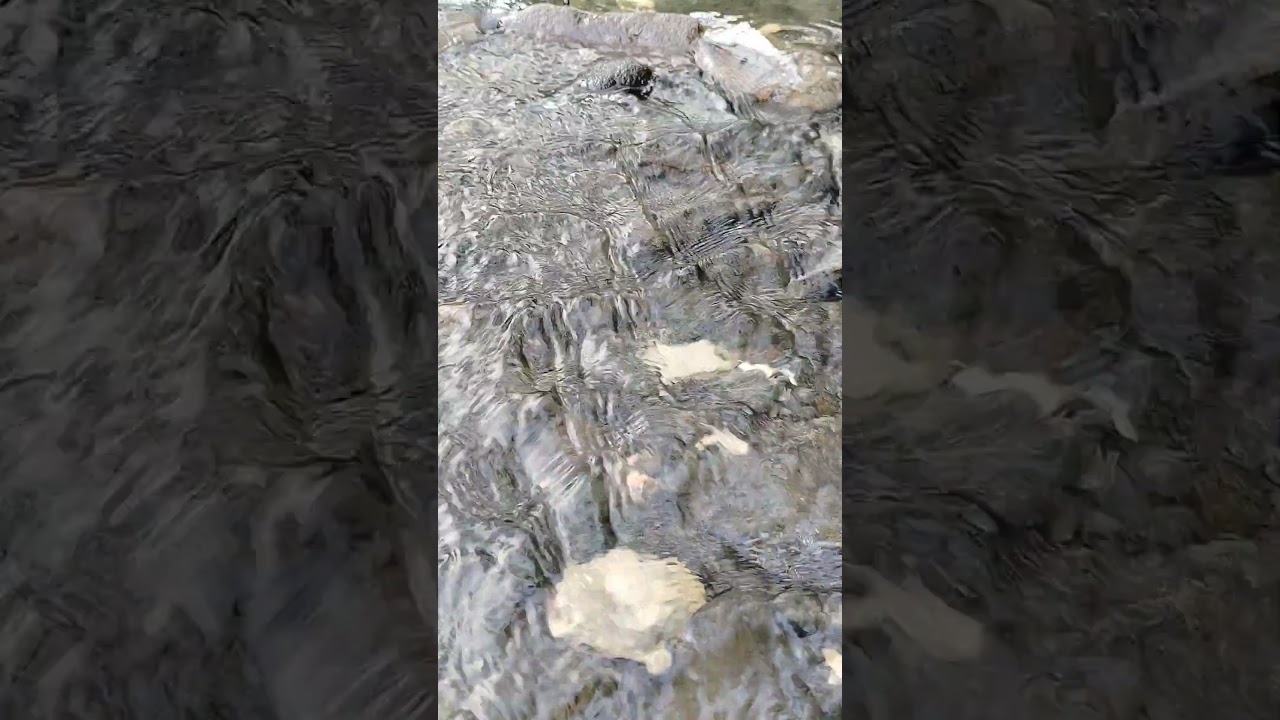 relaxing sound of beetles and natural water 