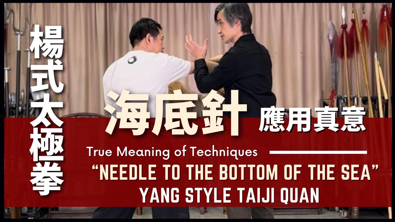 Yang Style Taiji Quan“Needle to the Bottom of the Sea”True Meaning of Techniques 楊式太極拳 海底針 應用真意