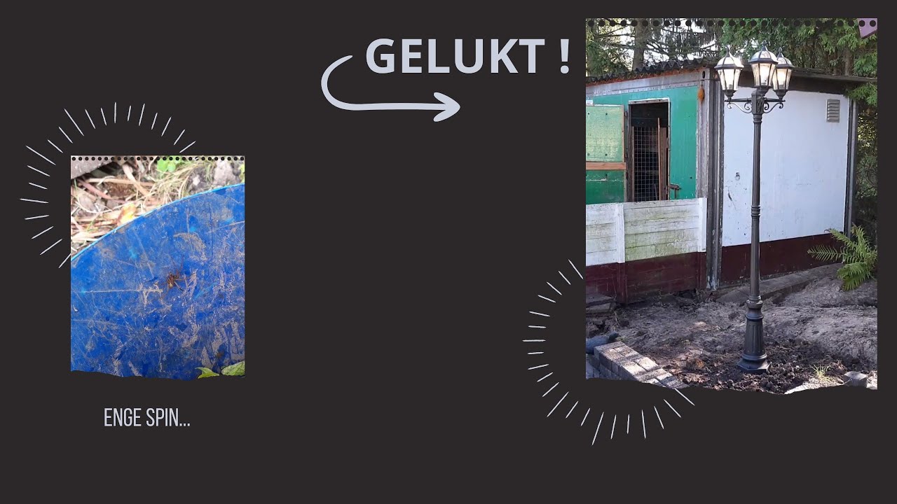GELUKT !!! Enge spin, flespompoen geoogst en nieuw haakproject begonnen.