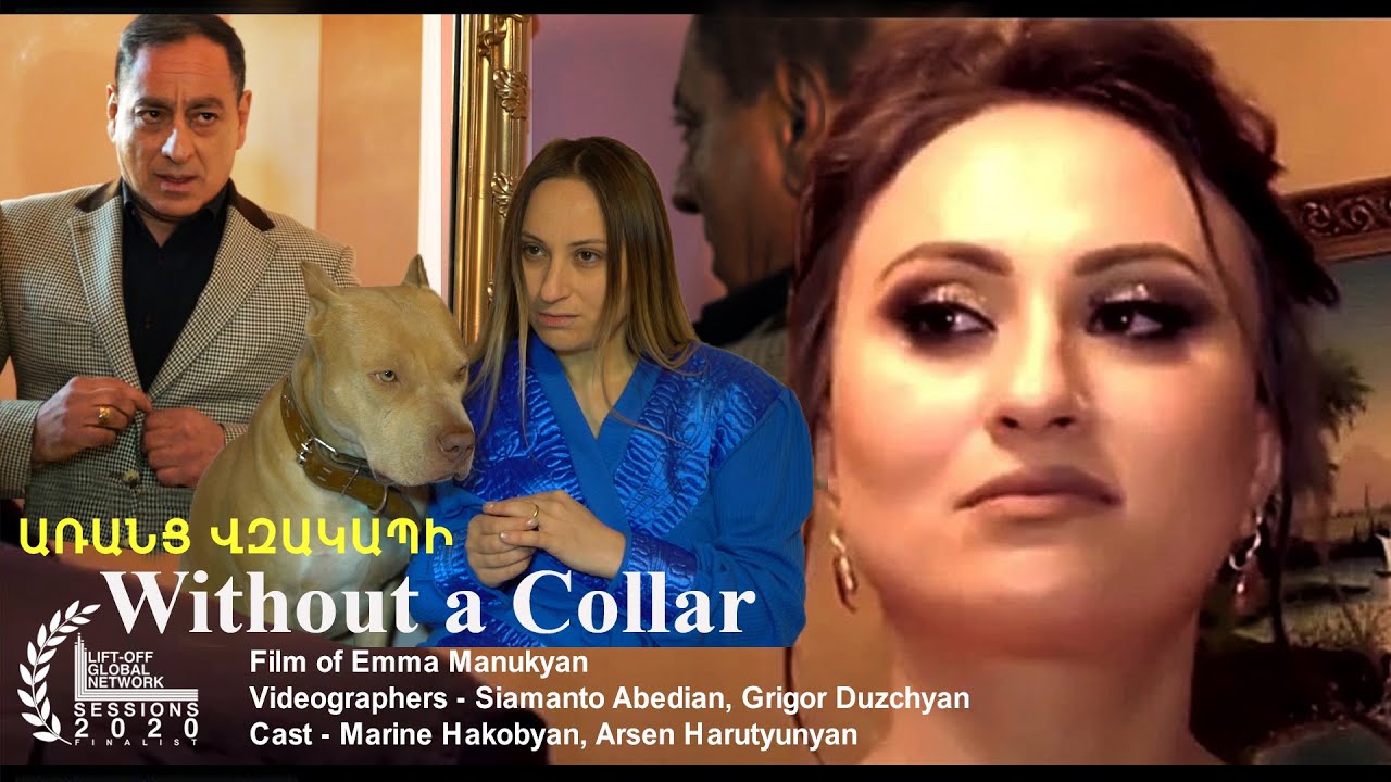 Առանց վզակապի / Without a collar