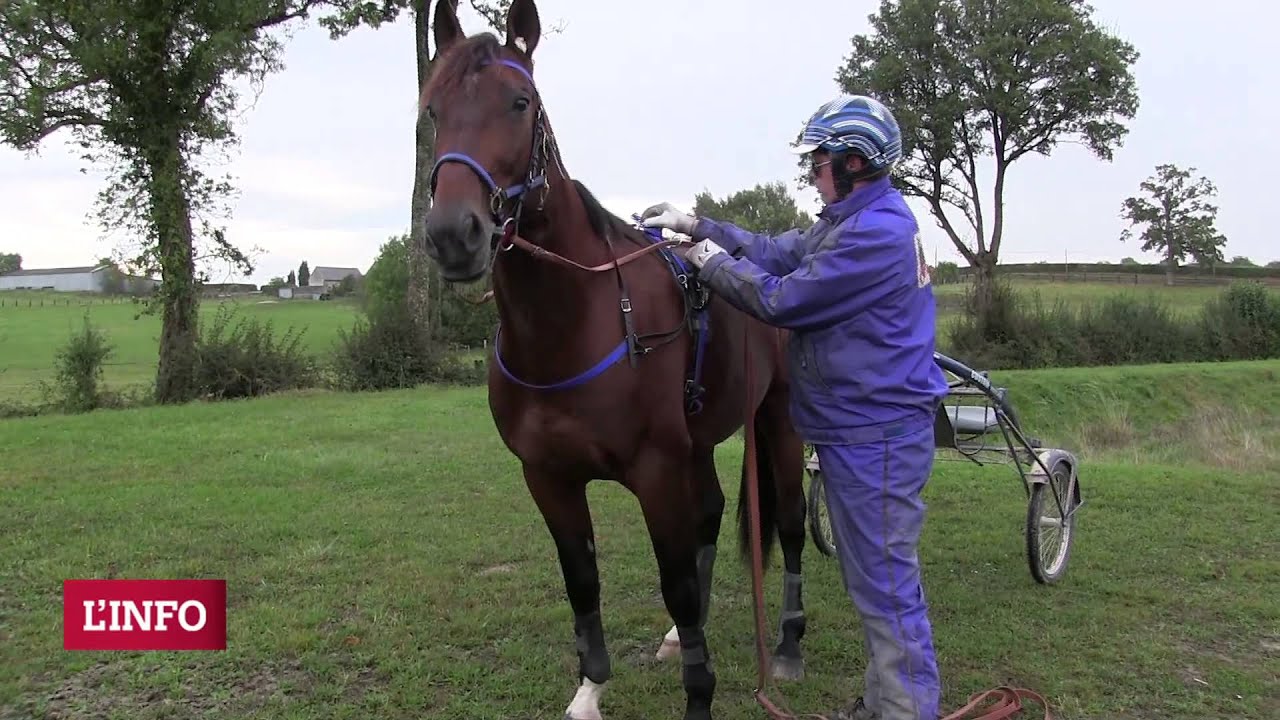 Entraînement Richard Westerink et Timoko - Haras de Sassy - 07/10/14