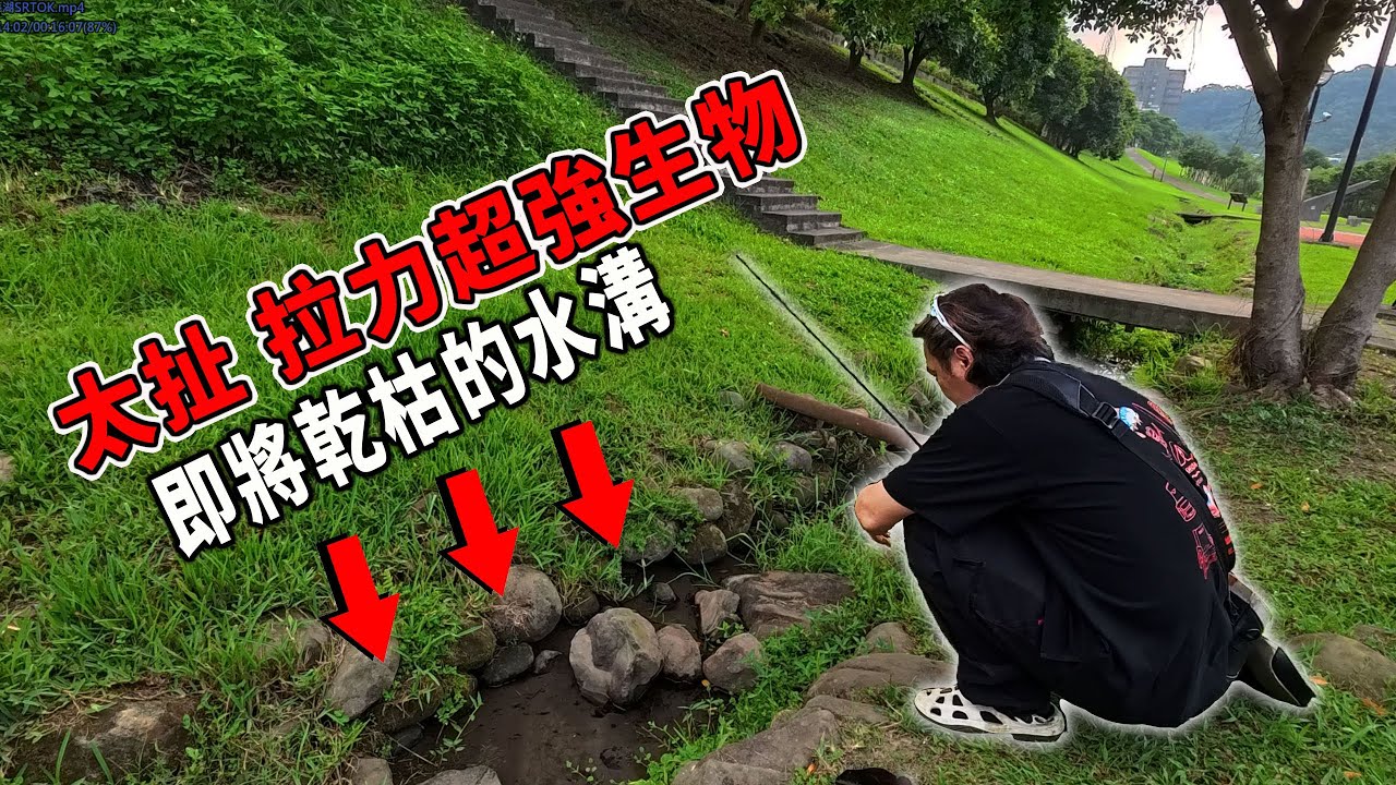旁邊路人直說太誇張啦 驚嚇度破表 拉力超大 怎麼會有這個啦 【漁樂爽報】Fishing Fun NEWS EP190  #釣魚 #钓鱼 #釣點