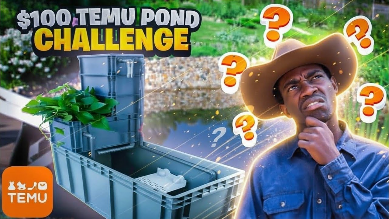I Tried Building a $100 TEMU Turtle Pond - What Could Go Wrong?