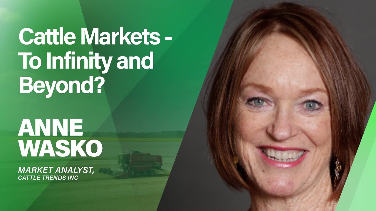 Cattle Markets  To Infinity and Beyond