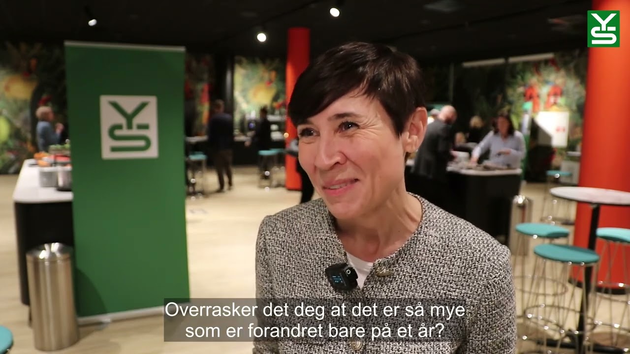 Vidsyn 2026