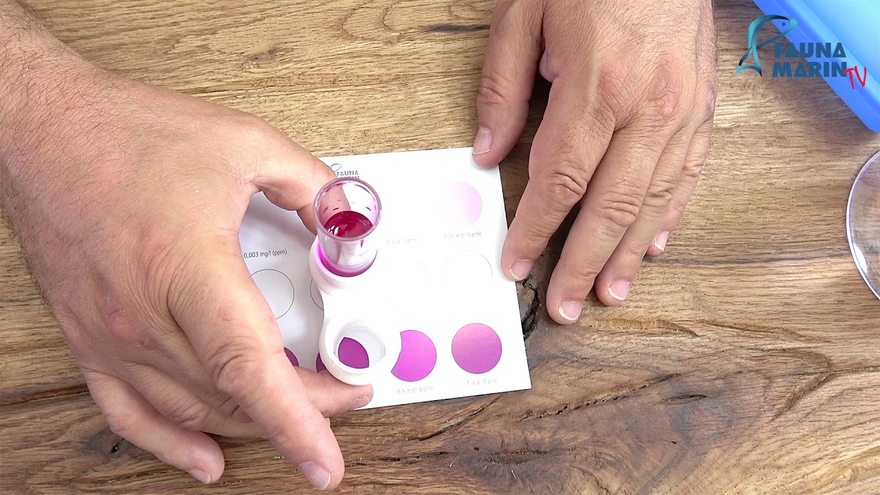 FaunaMarin: HTU NO2/NO3 Nitrit/Nitrat AquaHomeTest