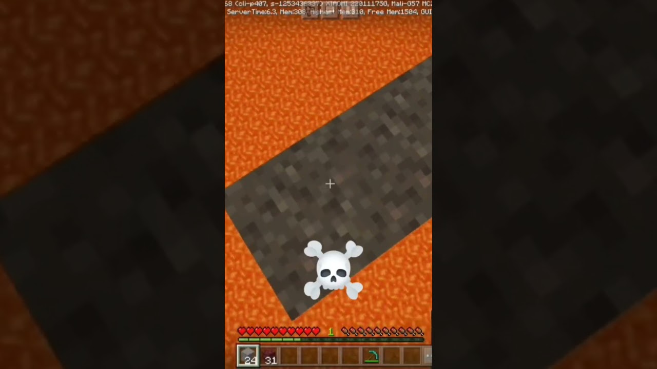 Minecraft💀☠️