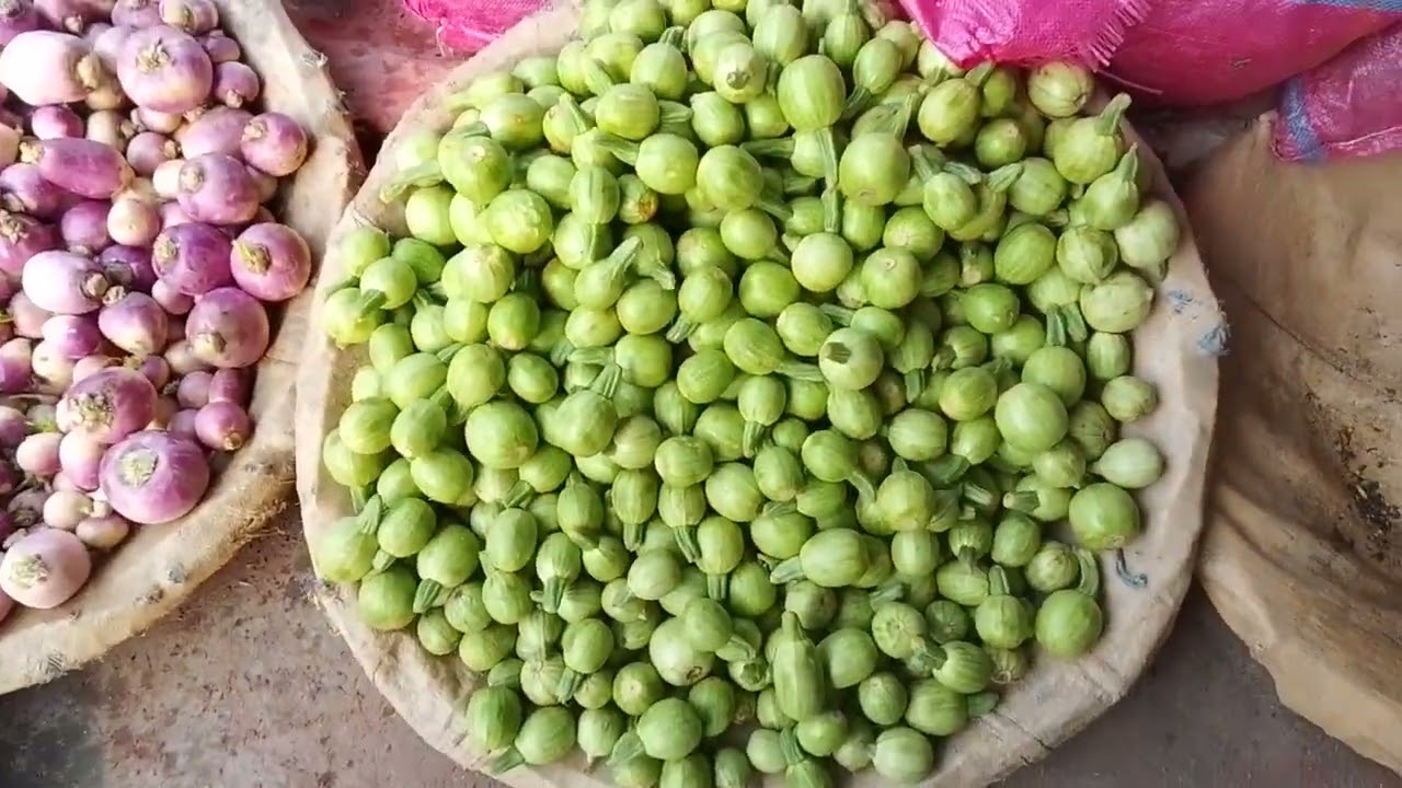 لاہور سبز منڈی کی اج کی اپڈیٹ ویڈیو کو زیادہ سے زیادہ شیئر کریں