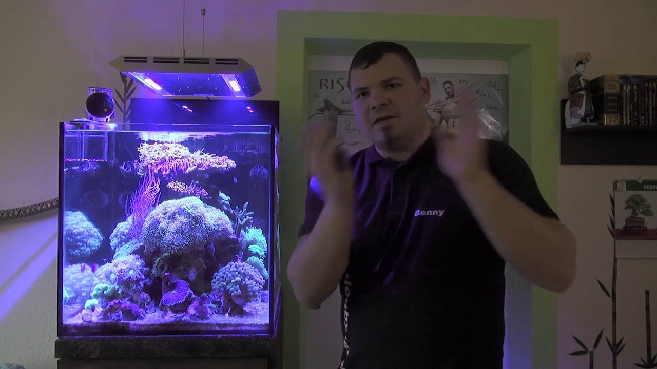 Meerwasseraquarium Special- 2 Jahre Meer...