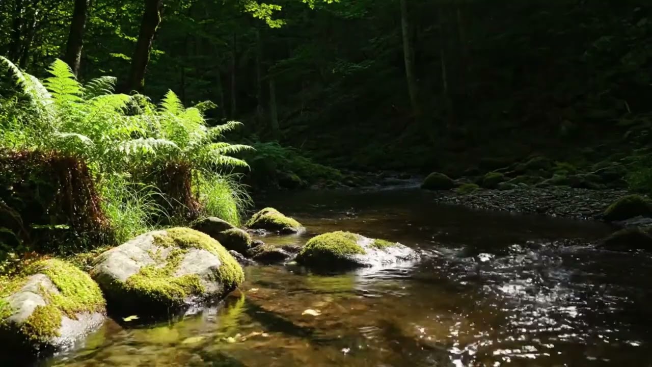 Whispering River Streams – Soft Water Flow for Tranquility & Sleep