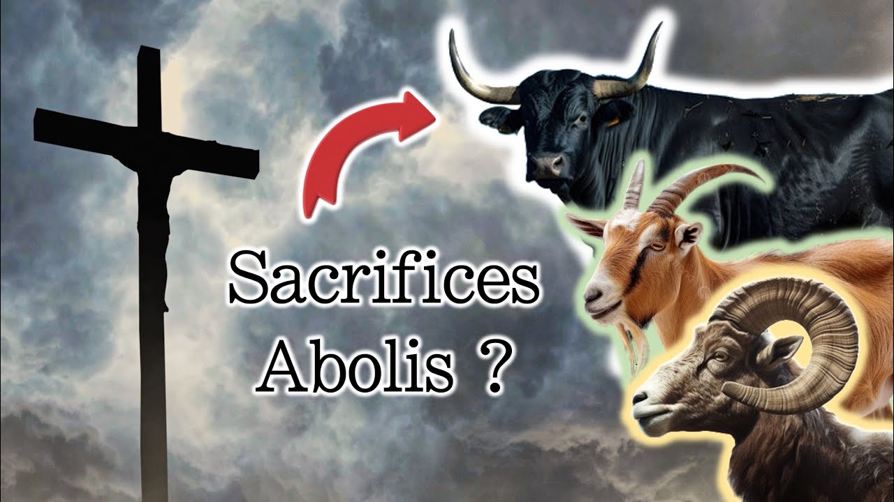Le sacrifice de Yeshoua annule-t-il les sacrifices d’animaux ?