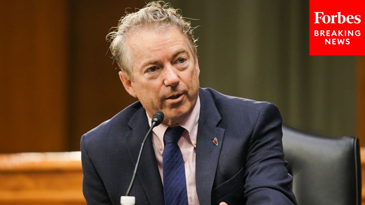 Rand Paul grills witness on SBA funds going to Planned Parenthood