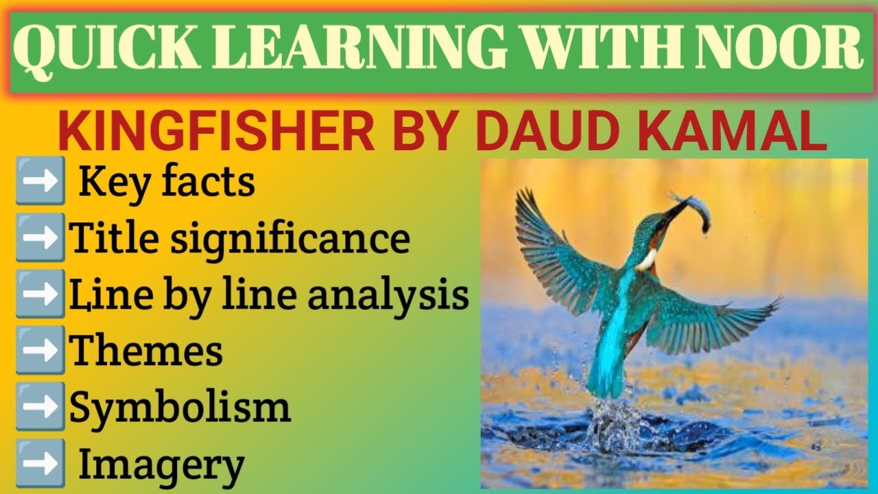 Kingfisher poem by Daud Kamal|Line by line analysis, themes, literary Devices, imagery and symbolism