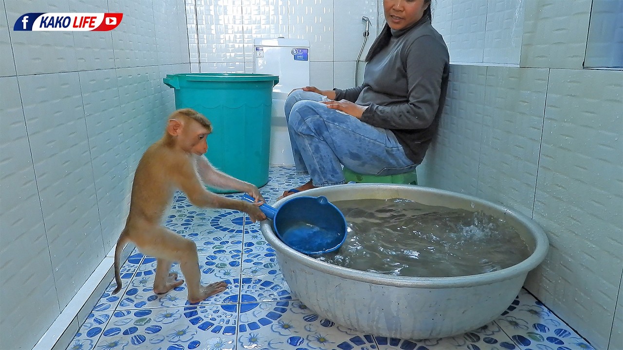 Adorable Valen Standing To Take Water Dipper From Bucket