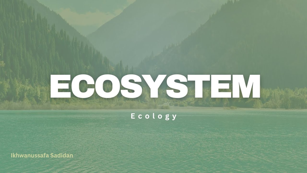 Ecosystem: Definition and Types | Ecology Class
