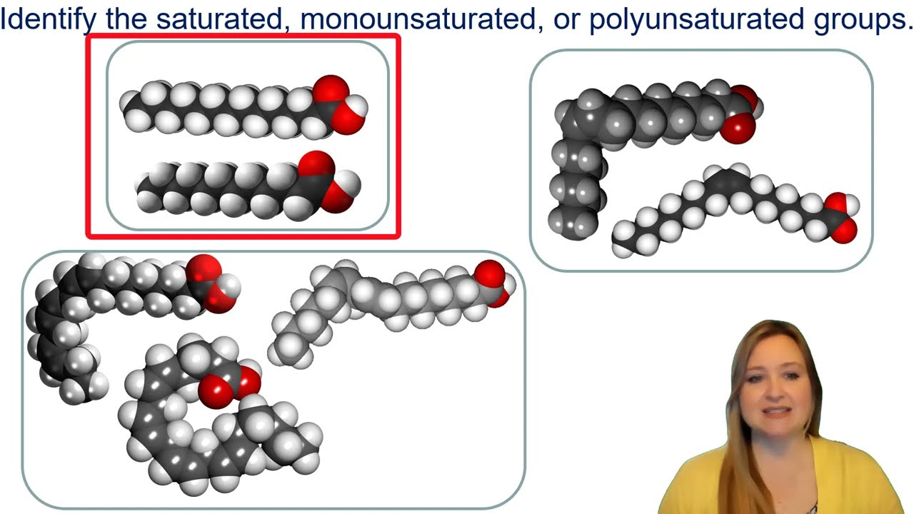Структура нейтральных липидов (жиров/масел) и насыщенных/ненасыщенных жирных кислот