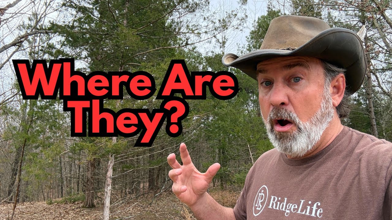 Where Are They? | Prayers Needed! | Ramblings