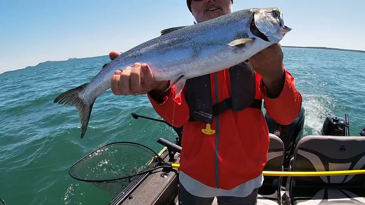 Salmon fishing Lake Superior June 9, 2021