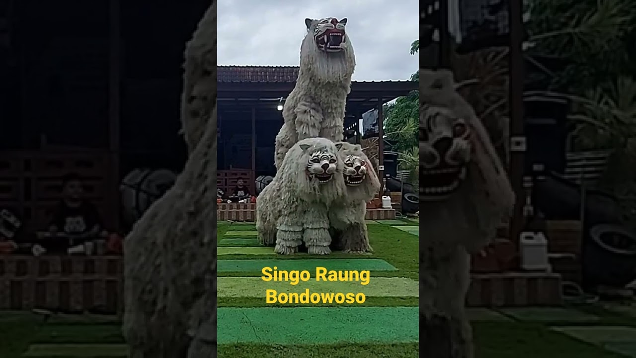 ATRAKSI CAN_MACANAN SINGO RAUNG BONDOWOSO