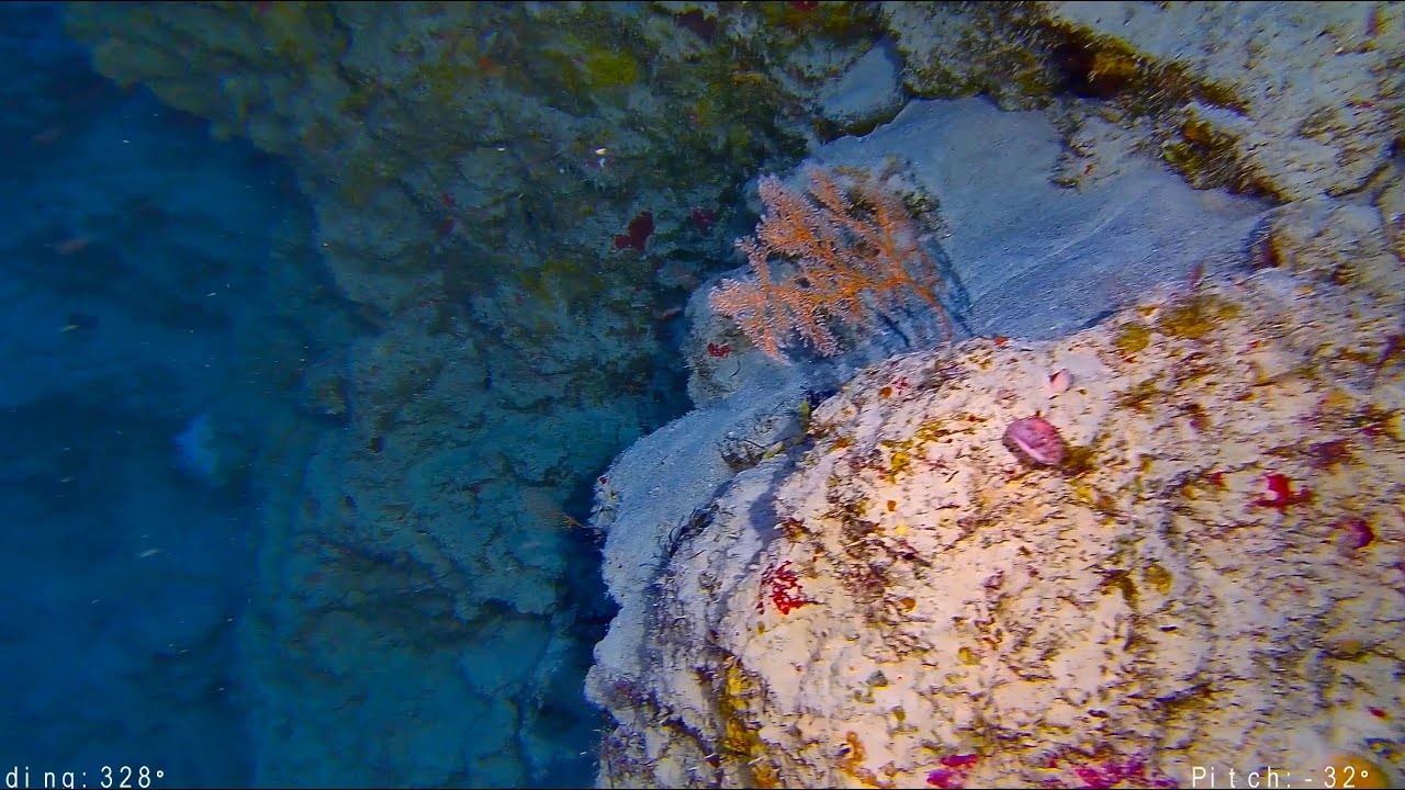 Chasing ROV M2 Pro Max - Test en mer