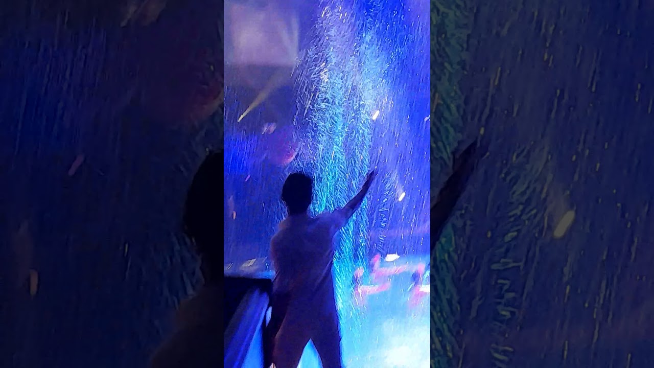 hippodrome circus great yarmouth finish 2021