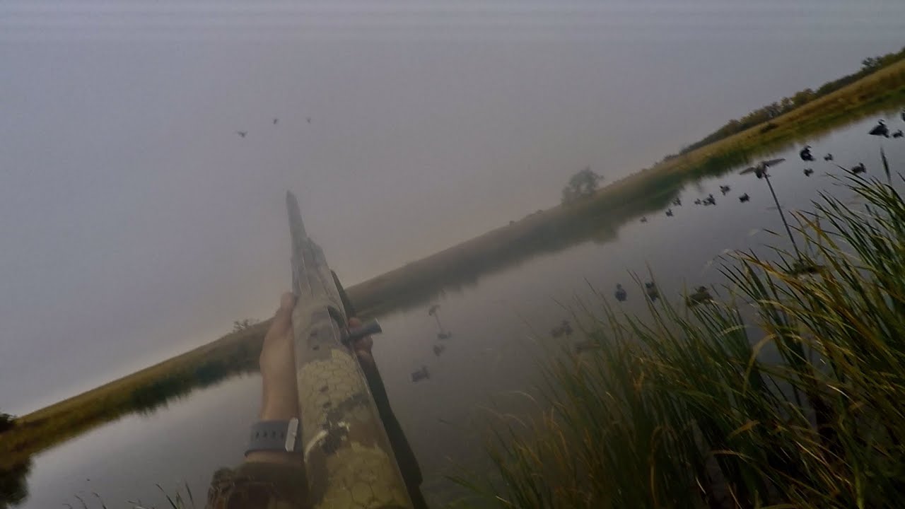 Quick Public Land Duck Hunt! (Mixed Bag)
