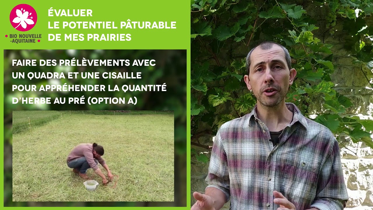 2. Évaluer le potentiel pâturable de mes prairies