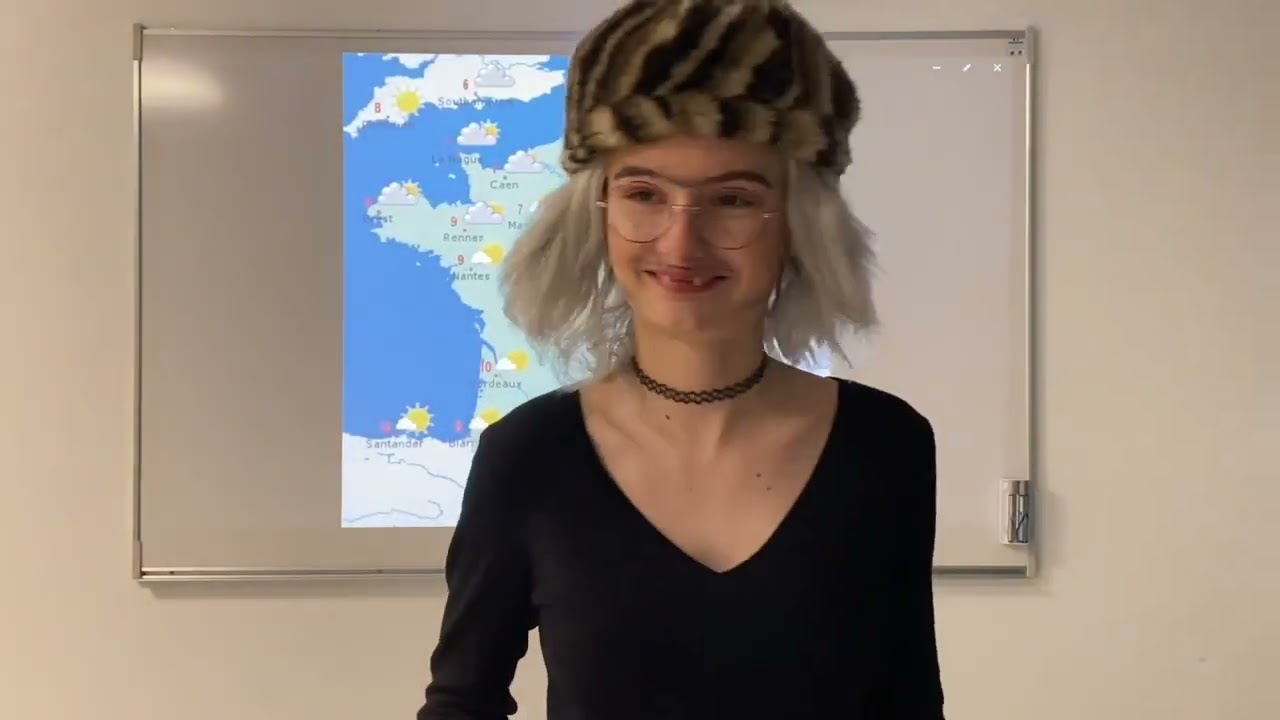 M&eacute;t&eacute;o' Normes