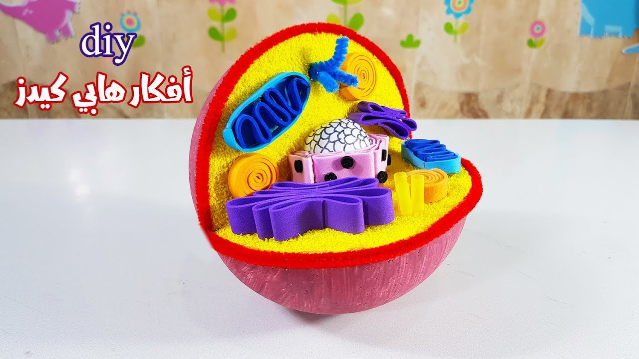 طريقة عمل مجسم الخلية | How to Make an Animal Cell Model Easily