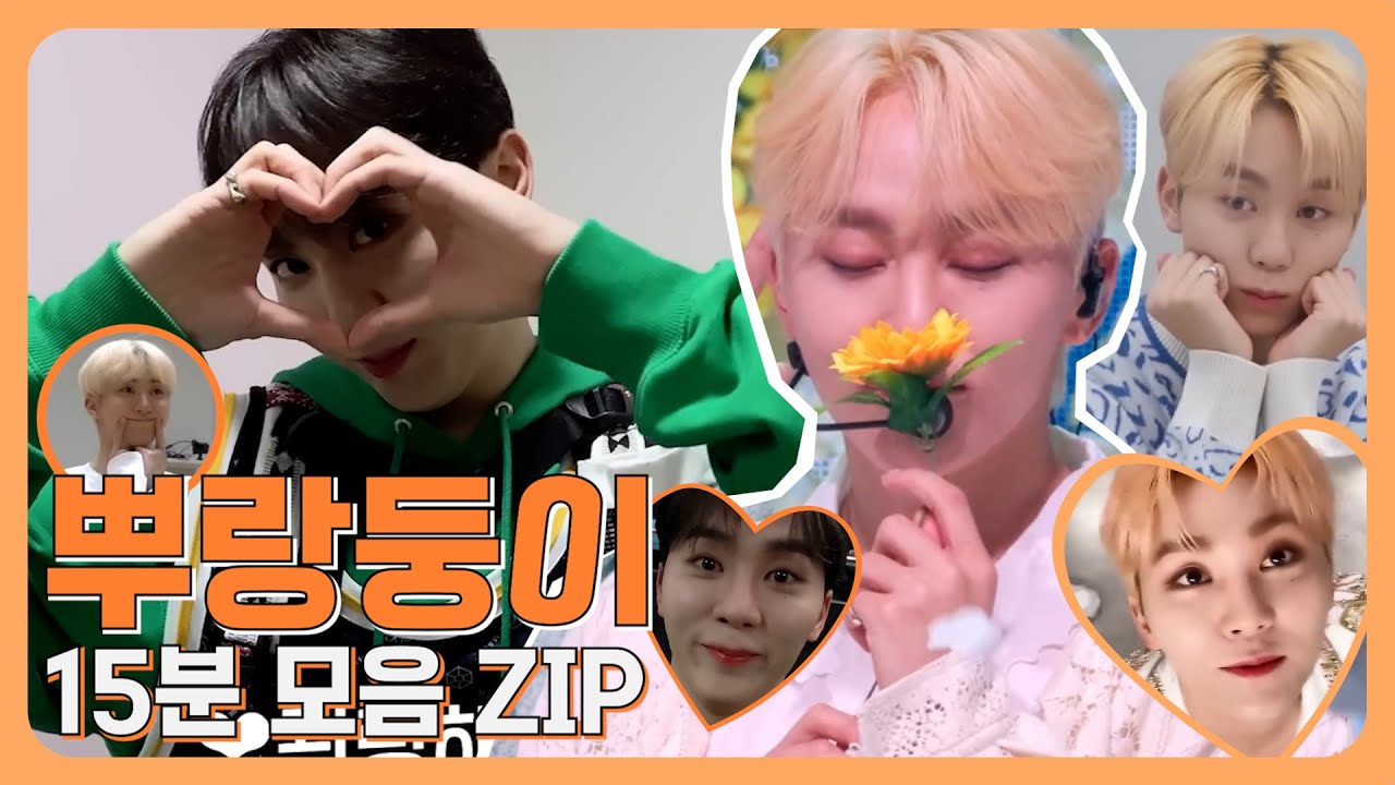 말그대롭니다. 부승관 사랑둥이라는 뜻. | 뿌랑둥이 모먼트 15분 요약 #세븐틴 #승관