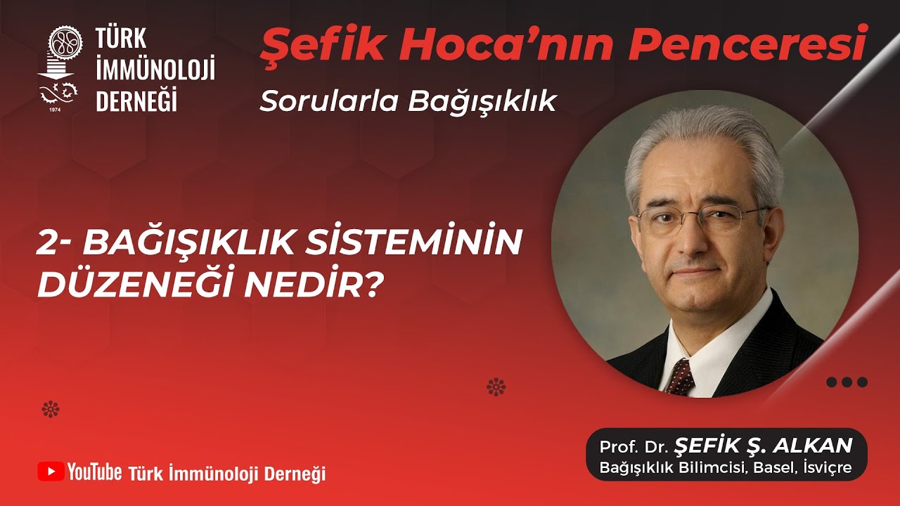 Sorularla Bağışıklık 2- Bağışıklık Sisteminin Düzeneği Nedir? - Prof. Dr. Şefik Alkan