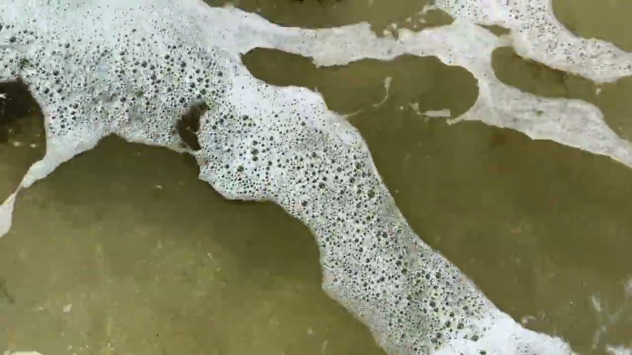 Life As Art:  Walking Water I