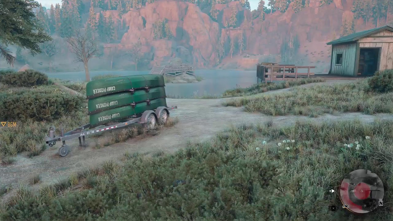 Days Gone