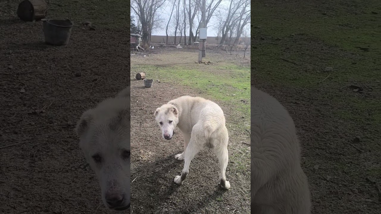 18 февраля 2026 г.