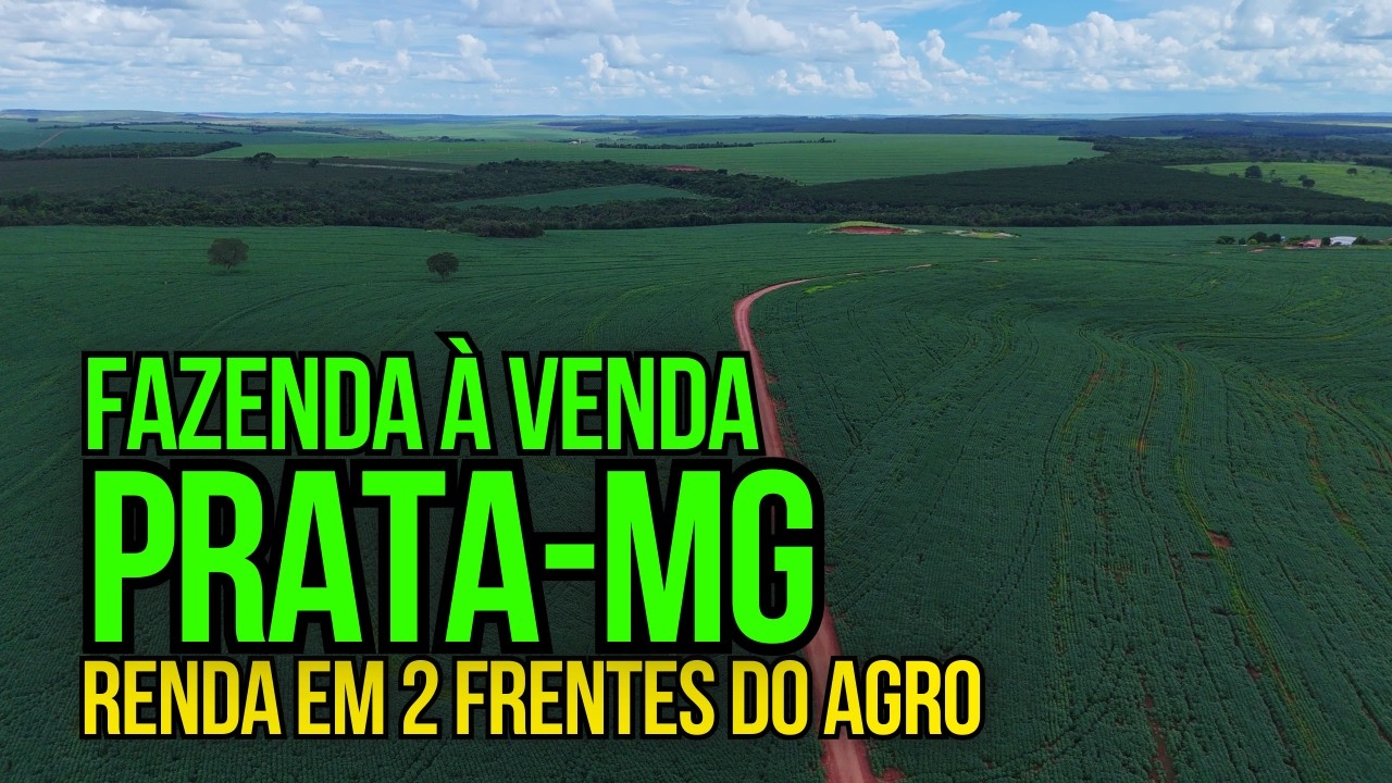 ESSA FAZENDA EM PRATA/MG ESTÁ DANDO LUCRO MESMO NA CRISE