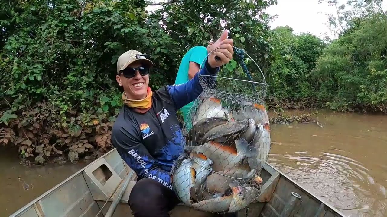 SE NÃO TIVESSE FILMADO NINGUEM ia ACREDITAR,pescaria com vara de bambu.