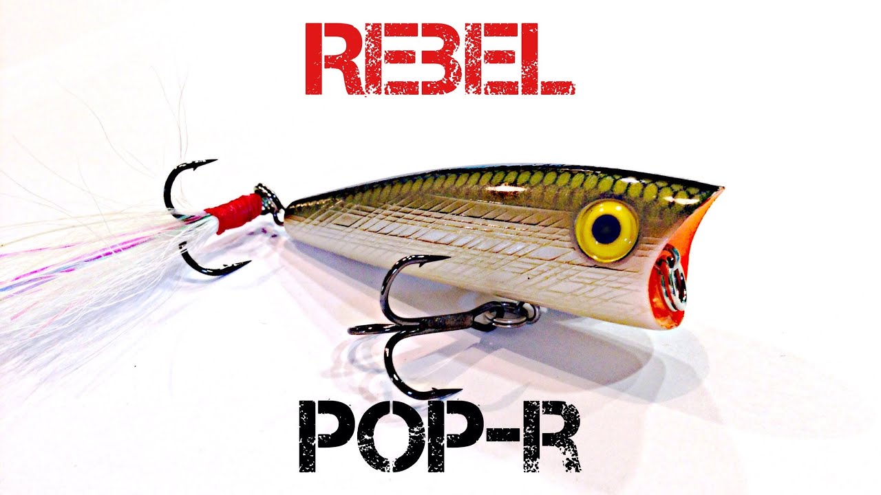 Lure Review- Rebel Pop-R