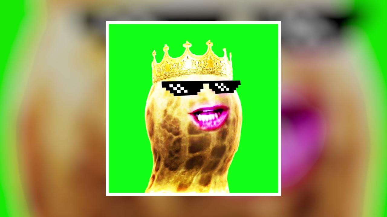 TheBurntPeanut Song - Remix