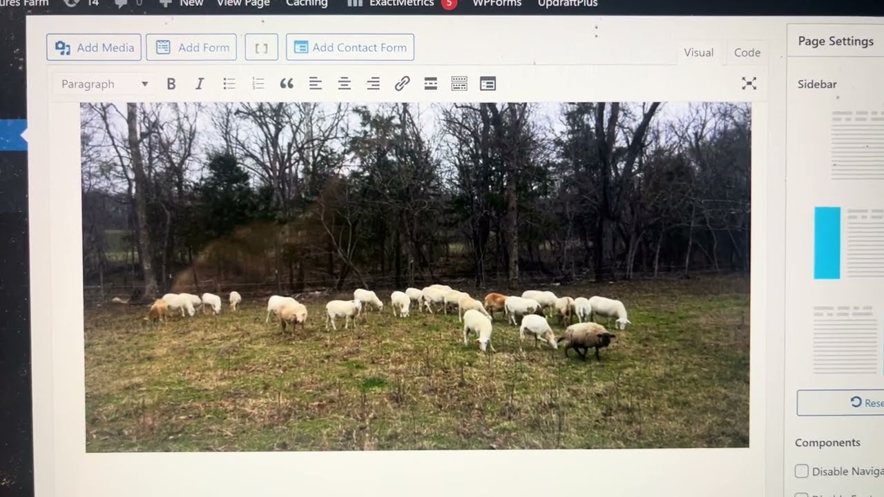 У Грега есть полностью породистое стадо овец с обученными сторожевыми собаками, которых можно при...