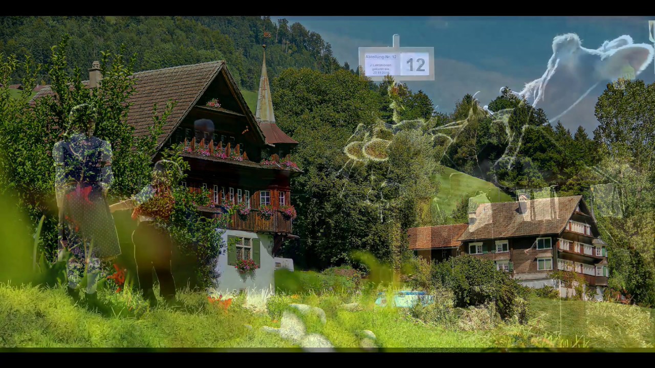 Das Toggenburg in 12 Bildern Vol. 1