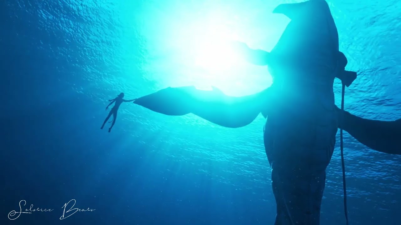Avatar 2 Trailer Music Collection (The Way of Water)