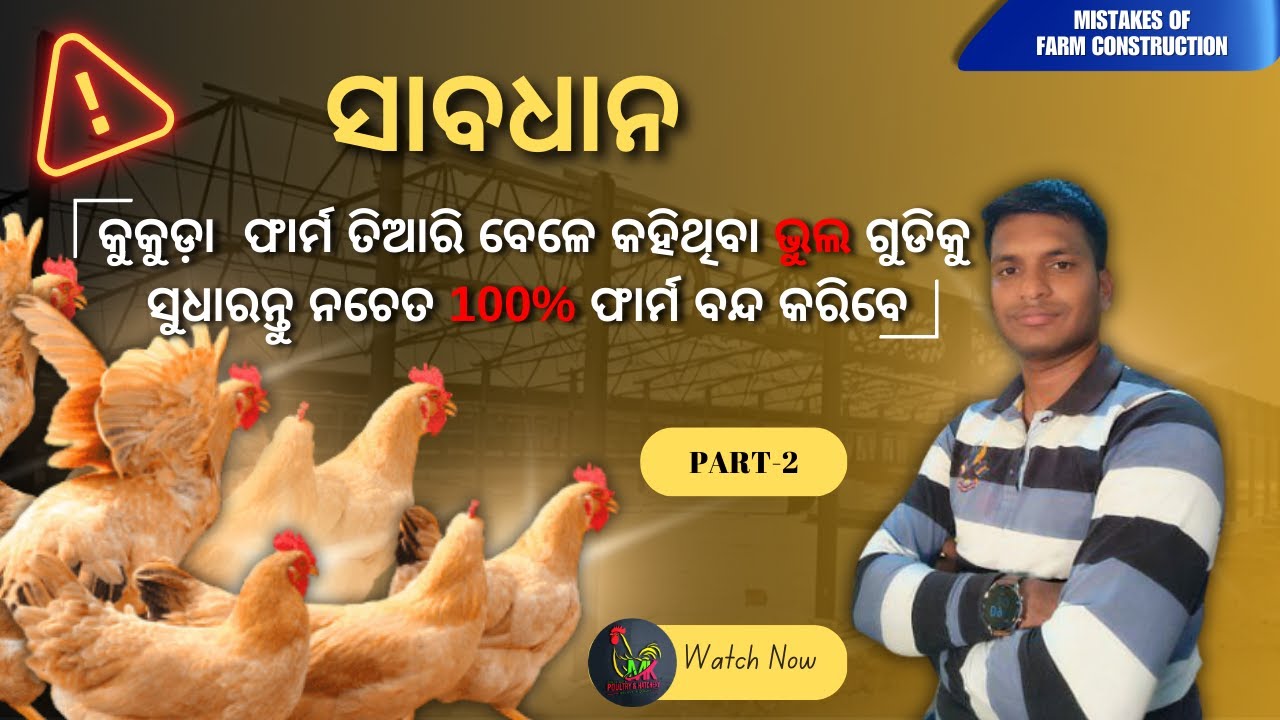କୁକୁଡ଼ା ଫାର୍ମ ତିଆରି କଲାବେଳେ ଚାଷୀ କରୁଥିବା ଭୁଲ କୁ କିପରି ସୁଧାରିବେ || PART - 2 ||