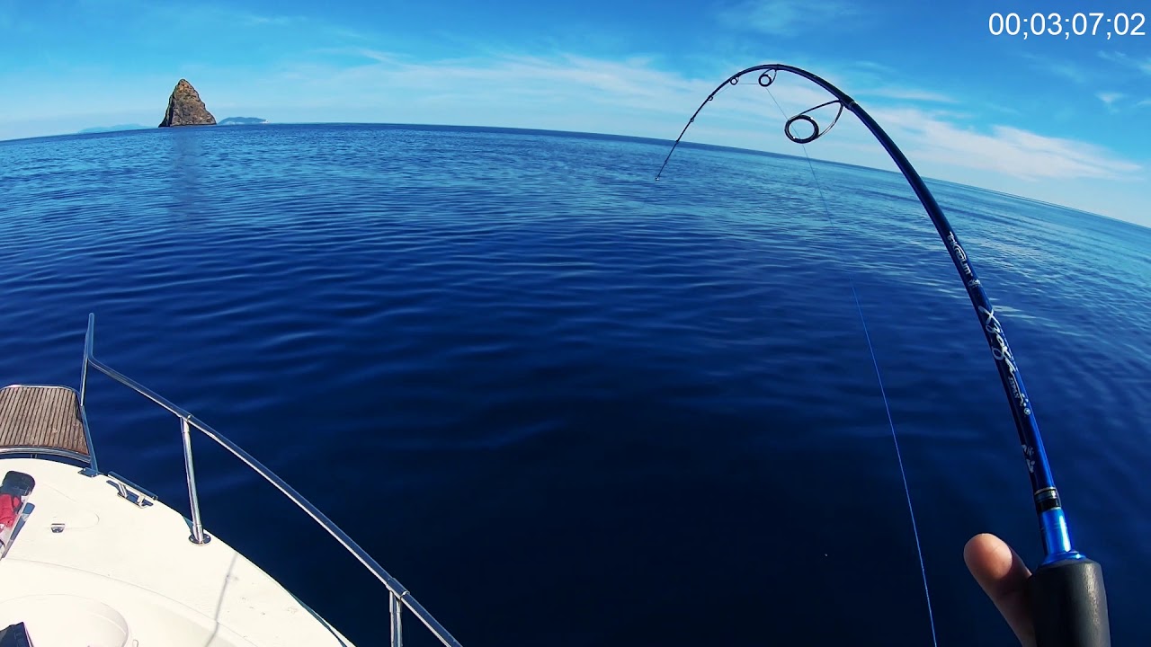 Otok Jabuka 2019